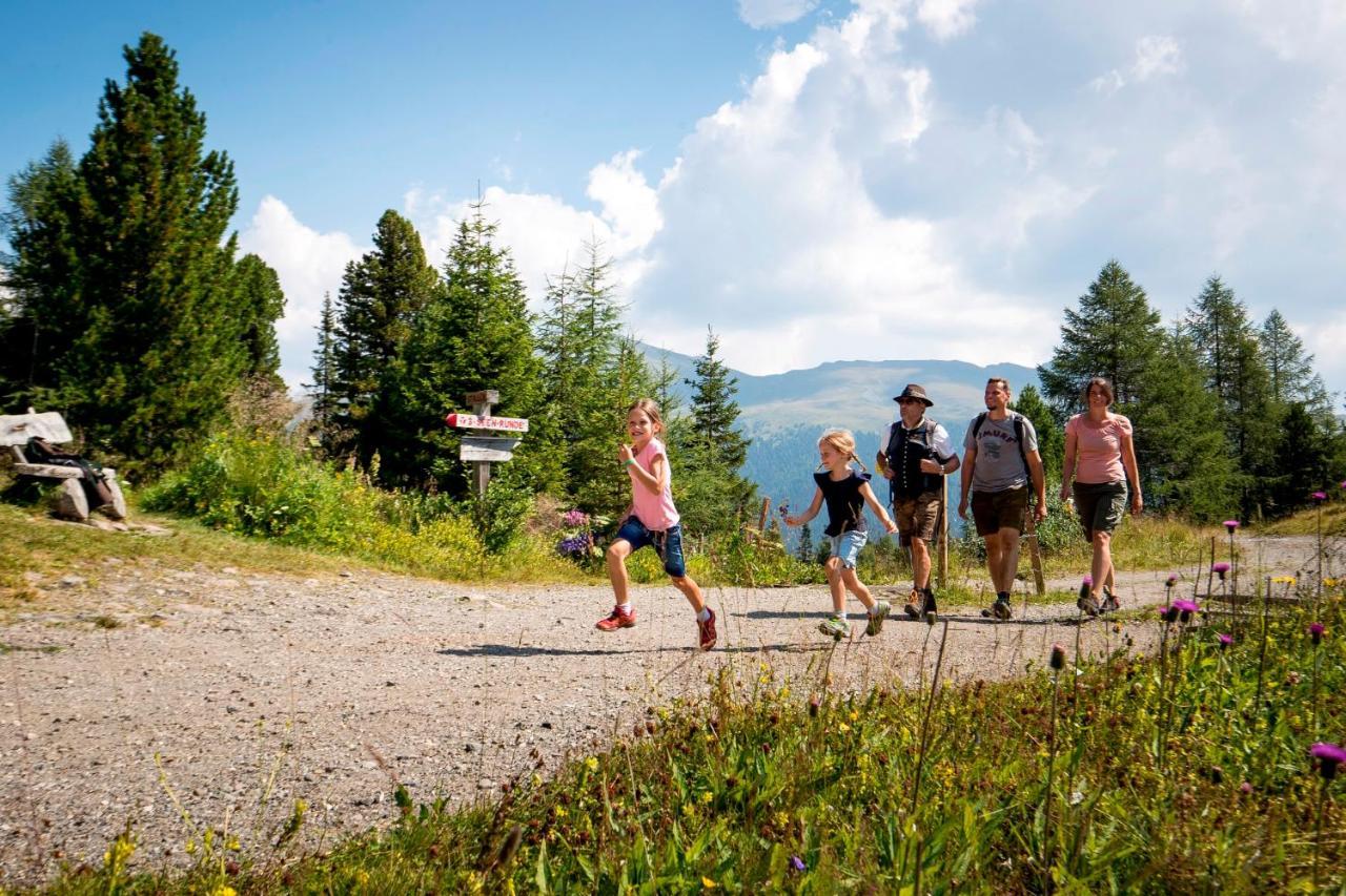 Naturpark Huette Mandl, Biobauernhof & Huettenurlaub Sankt Lambrecht Bagian luar foto