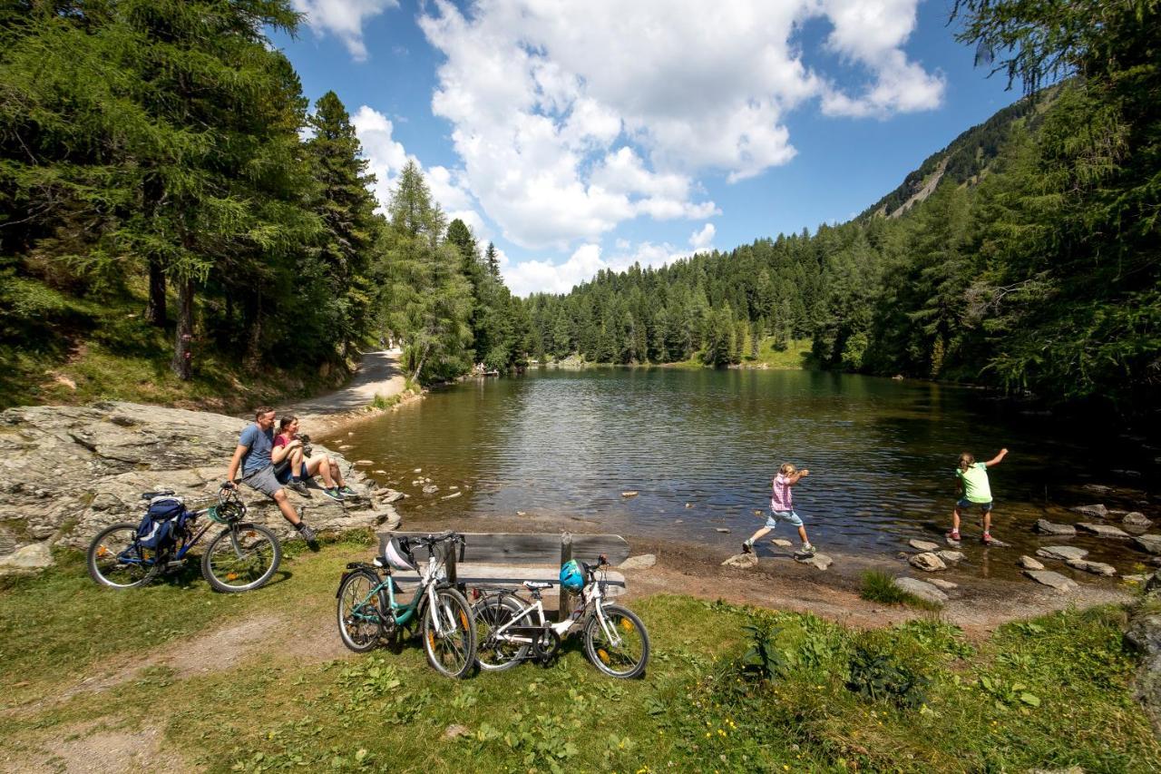 Naturpark Huette Mandl, Biobauernhof & Huettenurlaub Sankt Lambrecht Bagian luar foto