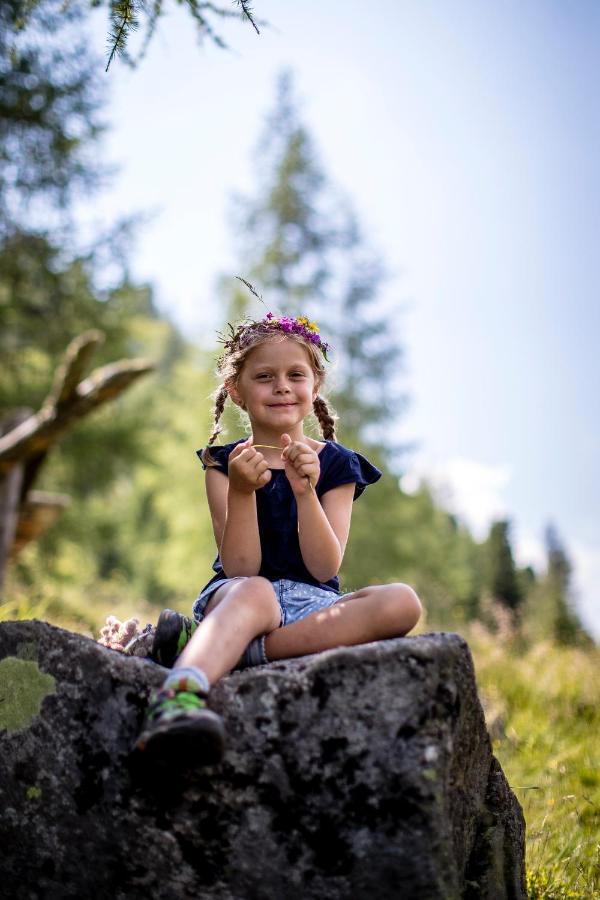 Naturpark Huette Mandl, Biobauernhof & Huettenurlaub Sankt Lambrecht Bagian luar foto