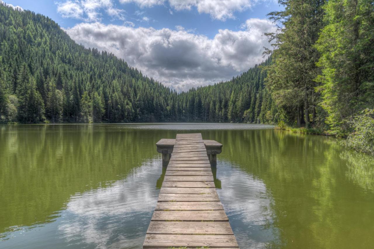 Naturpark Huette Mandl, Biobauernhof & Huettenurlaub Sankt Lambrecht Bagian luar foto